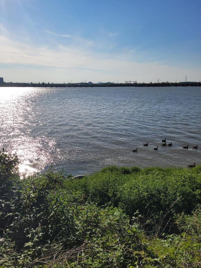Fantastic Studio, Private Bathroom And Mini Kitchen. Thamesmead  외부 사진